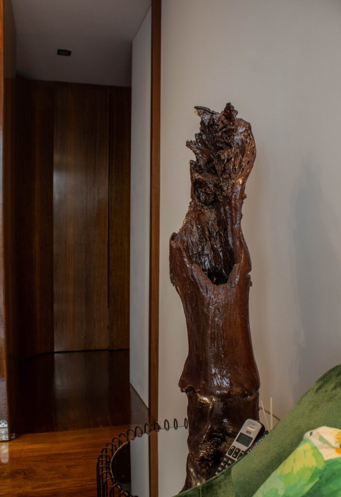 20240330_233610000_iOS-3-703x1024 Portfólio