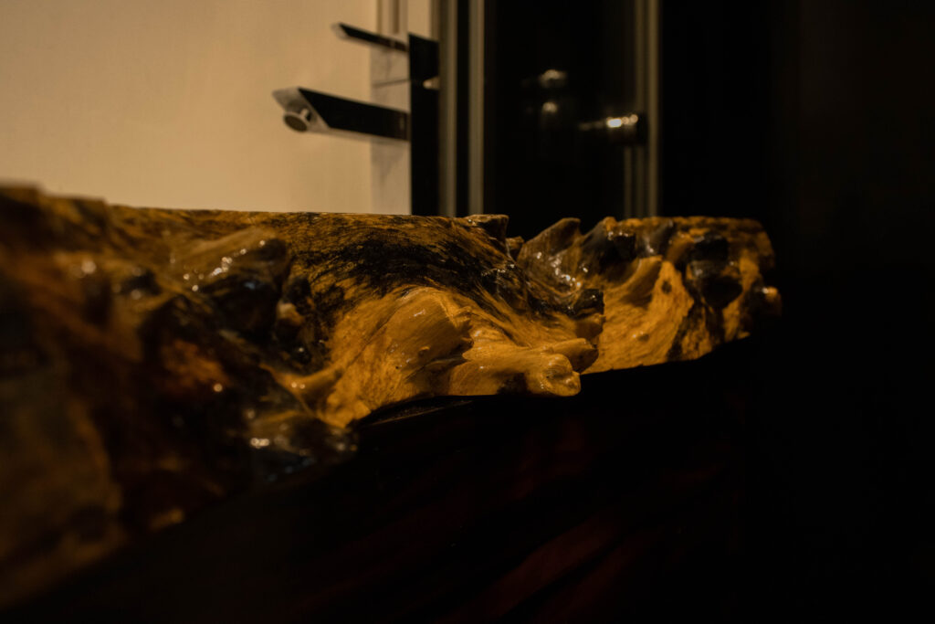 MG_0480-1024x683 Portfólio